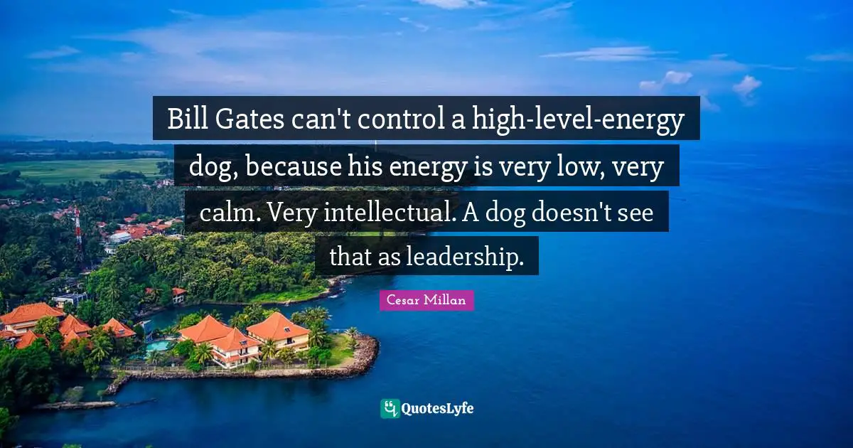 Cesar Millan Quotes: "Bill Gates can't control a high-level-energy dog, because his energy is very low, very calm. Very intellectual. A dog doesn't see that as leadership."