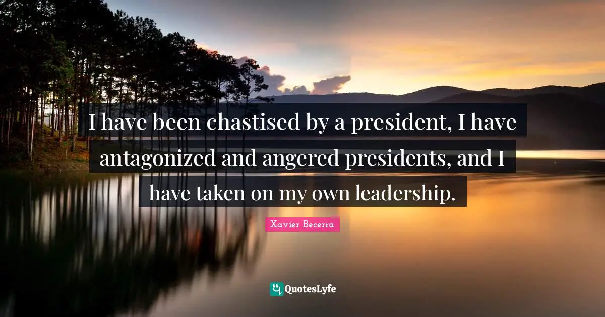 I have been chastised by a president, I have antagonized and angered presidents, and I have taken on my own leadership.