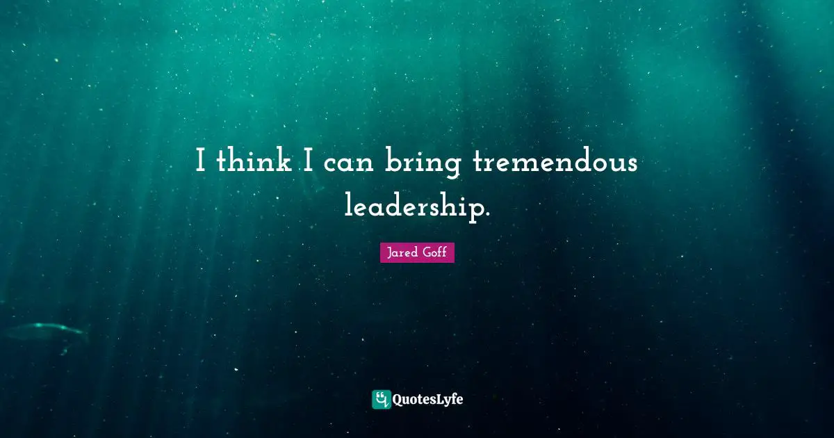 I think I can bring tremendous leadership.