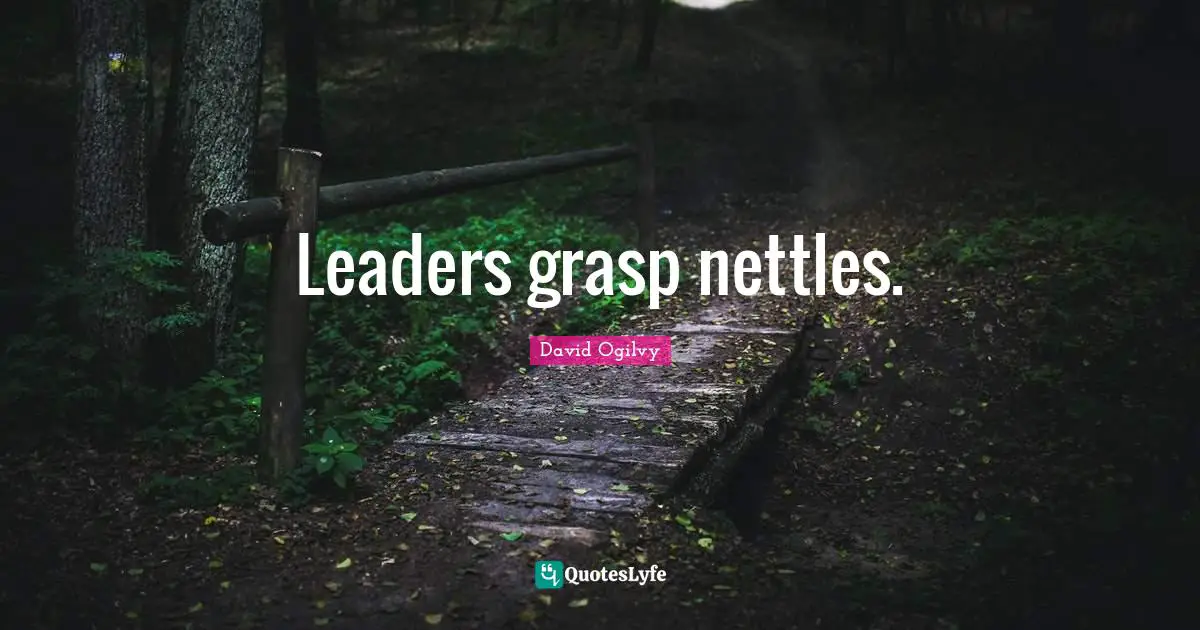 Leaders grasp nettles.