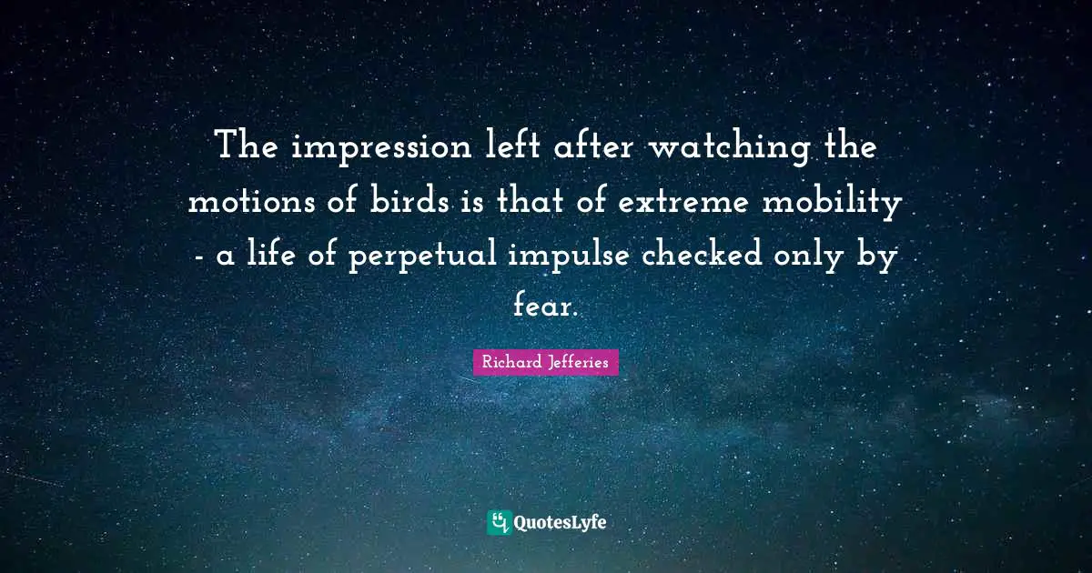 The impression left after watching the motions of birds is that of extreme mobility - a life of perpetual impulse checked only by fear.