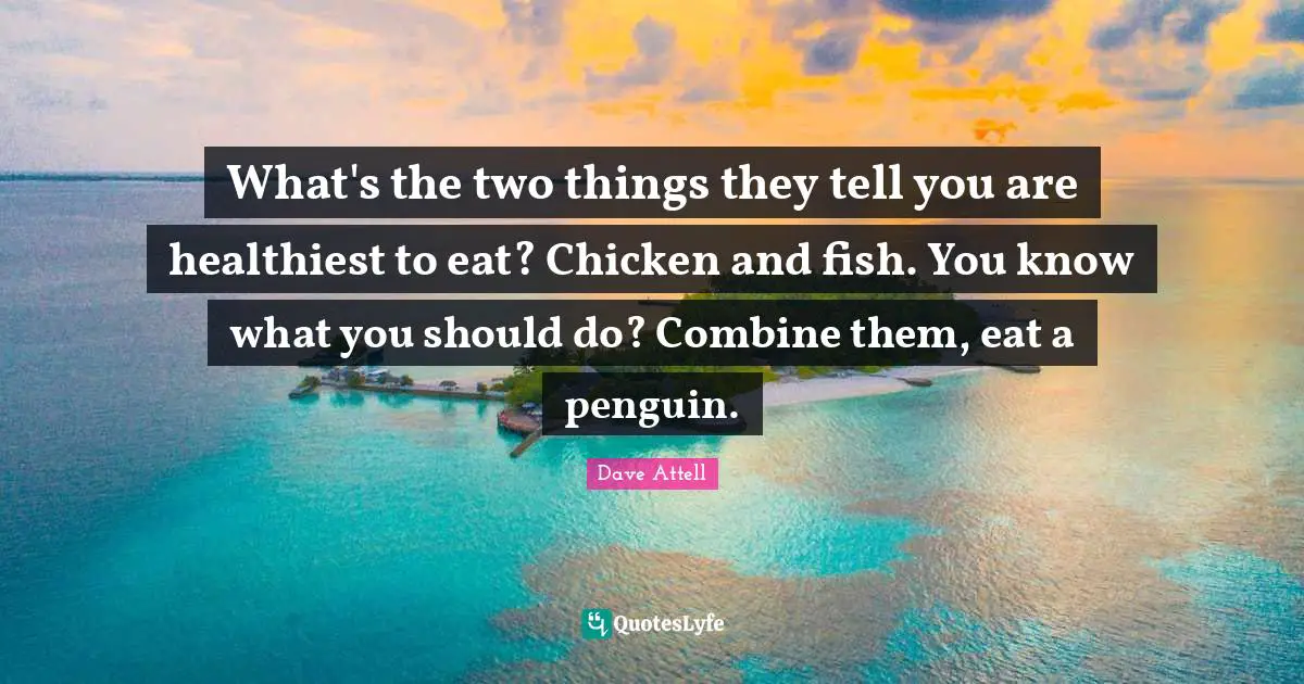 What's the two things they tell you are healthiest to eat? Chicken and fish. You know what you should do? Combine them, eat a penguin.