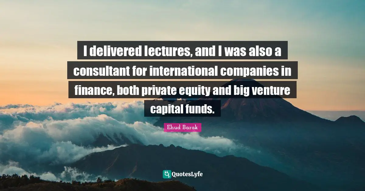 I delivered lectures, and I was also a consultant for international companies in finance, both private equity and big venture capital funds.
