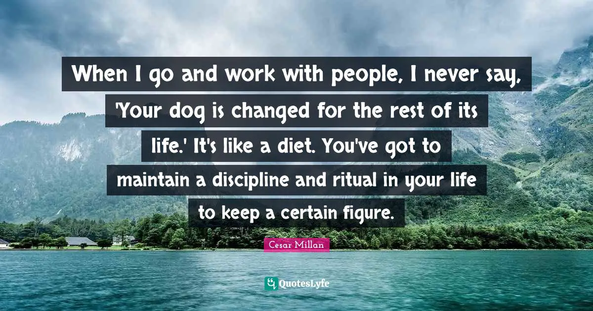 Cesar Millan Quotes: "When I go and work with people, I never say, 'Your dog is changed for the rest of its life.' It's like a diet. You've got to maintain a discipline and ritual in your life to keep a certain figure."
