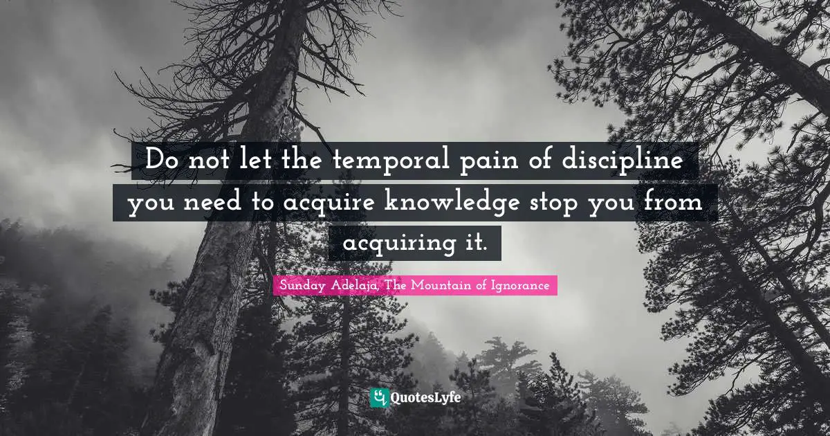 Do not let the temporal pain of discipline you need to acquire knowledge stop you from acquiring it.