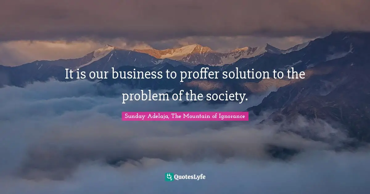 Solution To Problems Quotes: "It is our business to proffer solution to the problem of the society."
