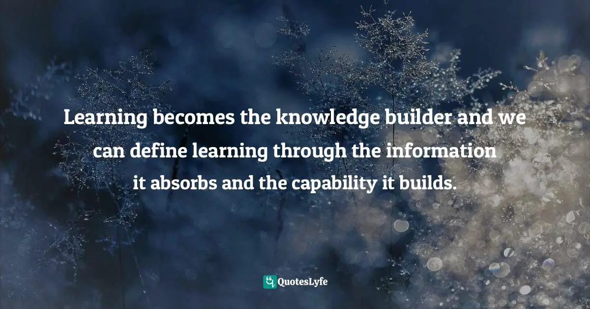 Learning becomes the knowledge builder and we can define learning through the information it absorbs and the capability it builds.