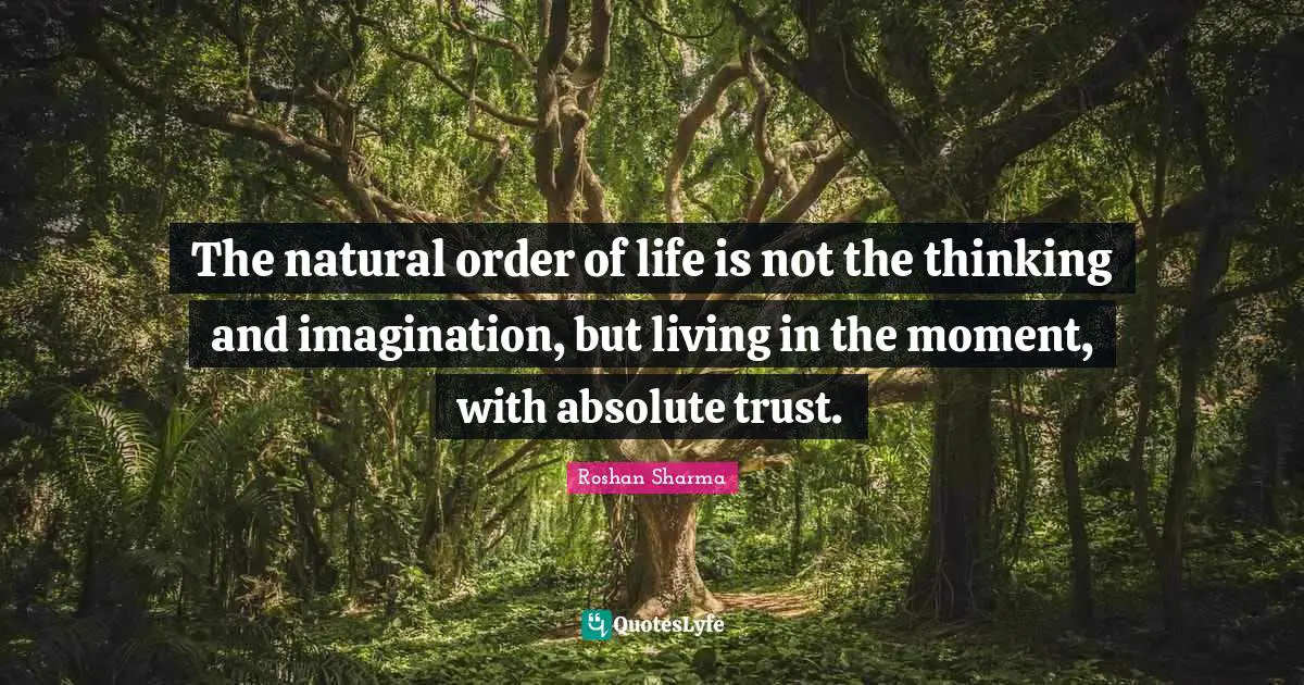 The natural order of life is not the thinking and imagination, but living in the moment, with absolute trust.
