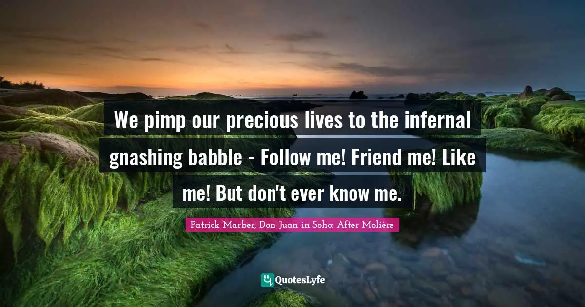 We pimp our precious lives to the infernal gnashing babble - Follow me! Friend me! Like me! But don't ever know me.