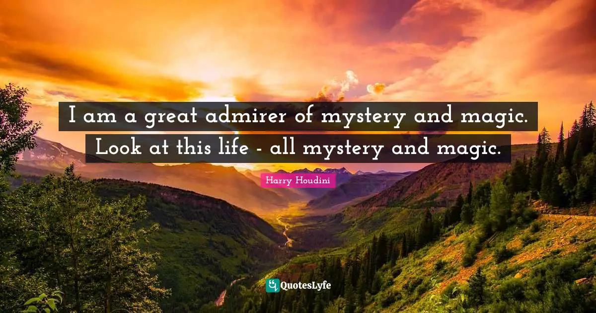 I am a great admirer of mystery and magic. Look at this life - all mystery and magic.