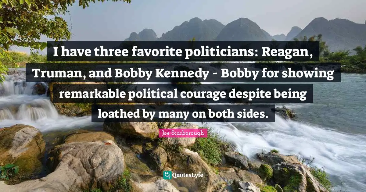 I have three favorite politicians: Reagan, Truman, and Bobby Kennedy - Bobby for showing remarkable political courage despite being loathed by many on both sides.