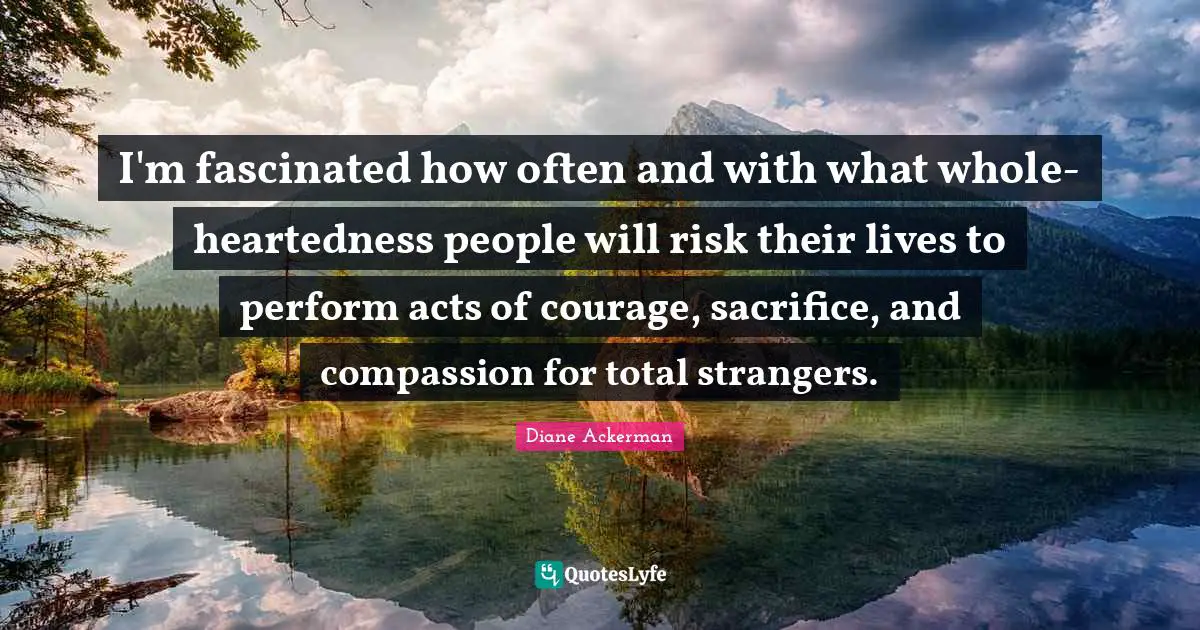 I'm fascinated how often and with what whole-heartedness people will risk their lives to perform acts of courage, sacrifice, and compassion for total strangers.