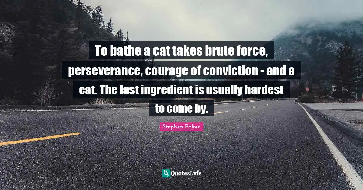 To bathe a cat takes brute force, perseverance, courage of conviction - and a cat. The last ingredient is usually hardest to come by.
