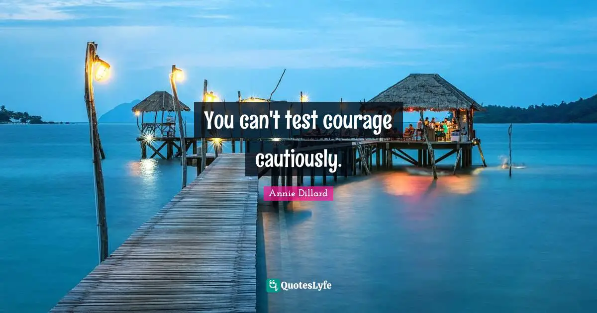 You can't test courage cautiously.