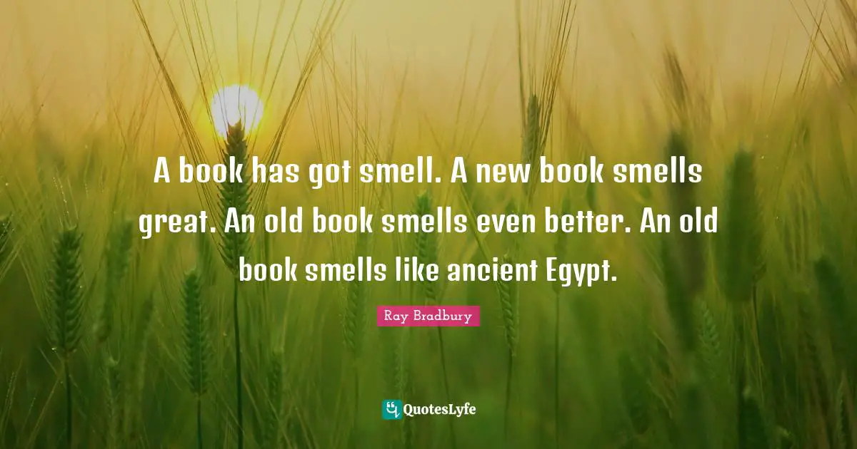 A book has got smell. A new book smells great. An old book smells even better. An old book smells like ancient Egypt.