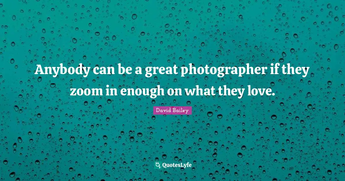 David Bailey Quotes: "Anybody can be a great photographer if they zoom in enough on what they love."