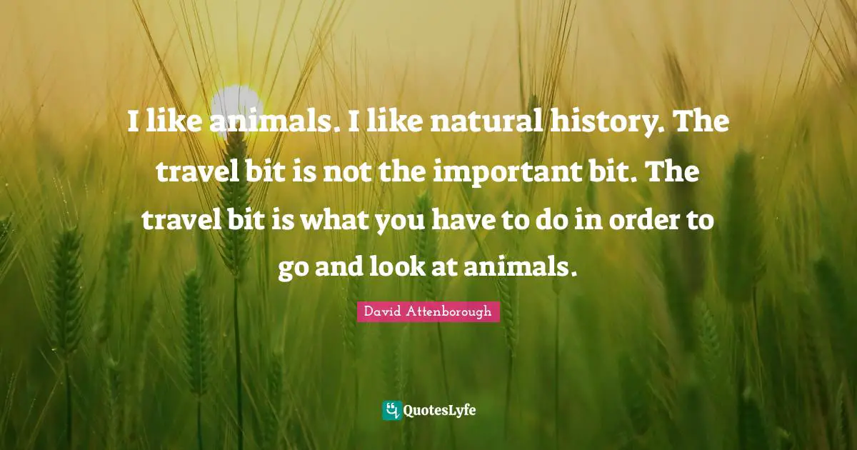 I like animals. I like natural history. The travel bit is not the important bit. The travel bit is what you have to do in order to go and look at animals.