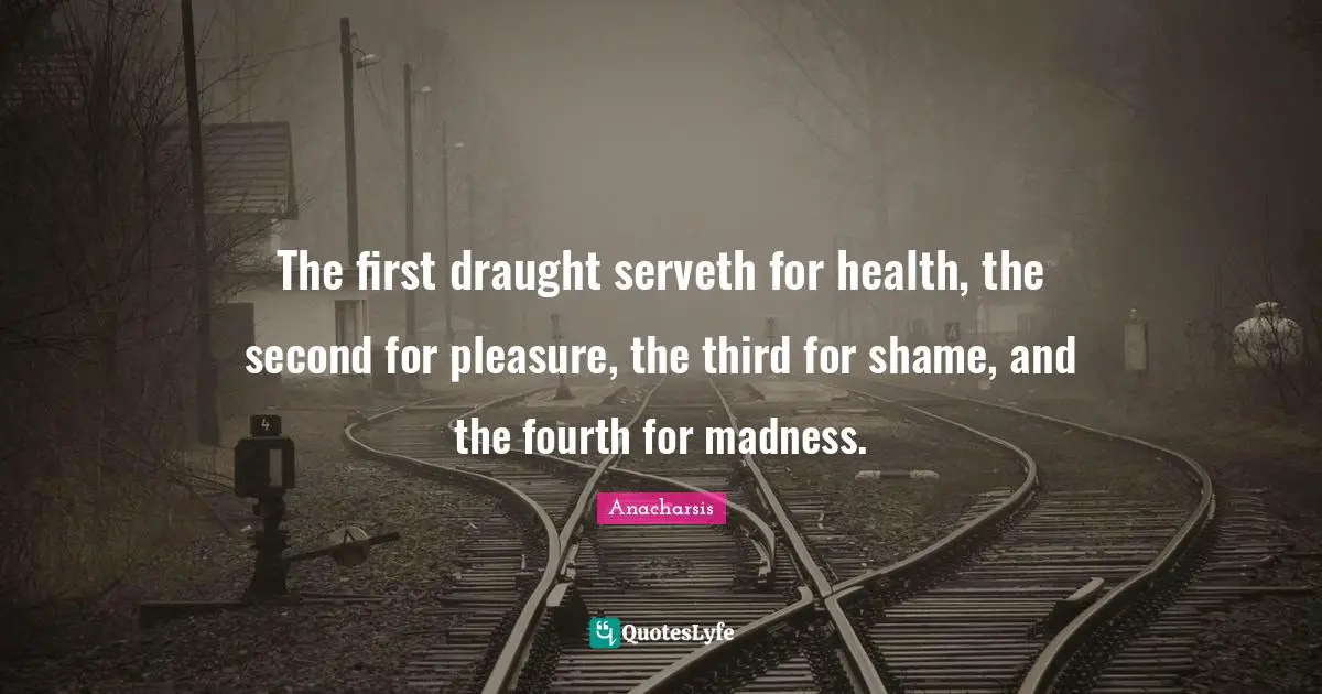 The first draught serveth for health, the second for pleasure, the third for shame, and the fourth for madness.