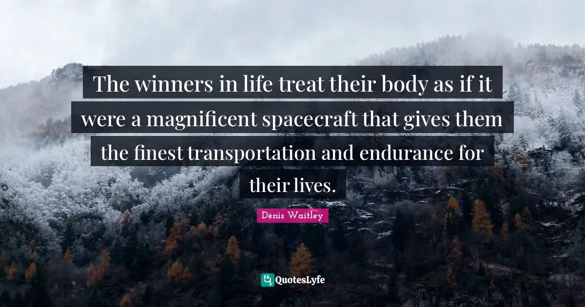 Treat Quotes: "The winners in life treat their body as if it were a magnificent spacecraft that gives them the finest transportation and endurance for their lives."