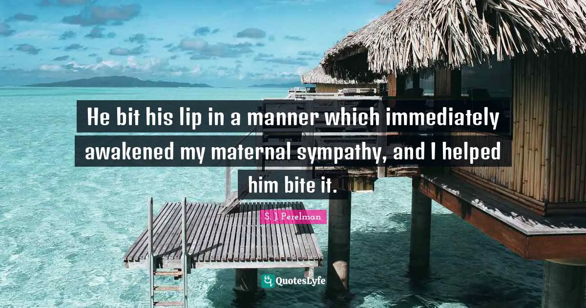 He bit his lip in a manner which immediately awakened my maternal sympathy, and I helped him bite it.