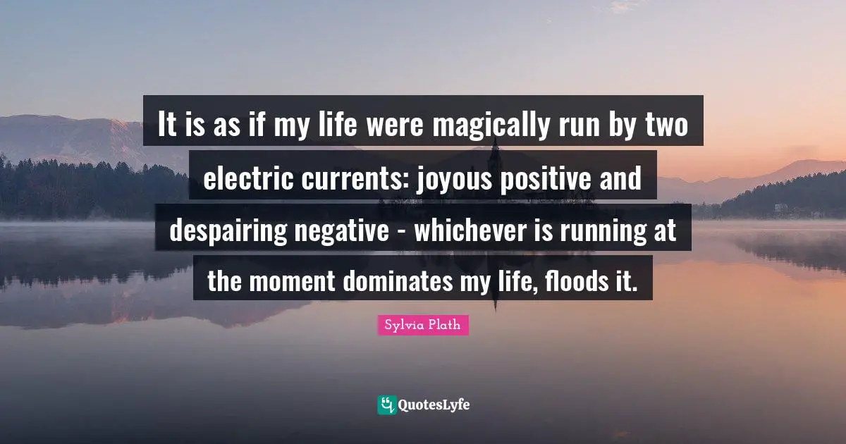 It is as if my life were magically run by two electric currents: joyous positive and despairing negative - whichever is running at the moment dominates my life, floods it.