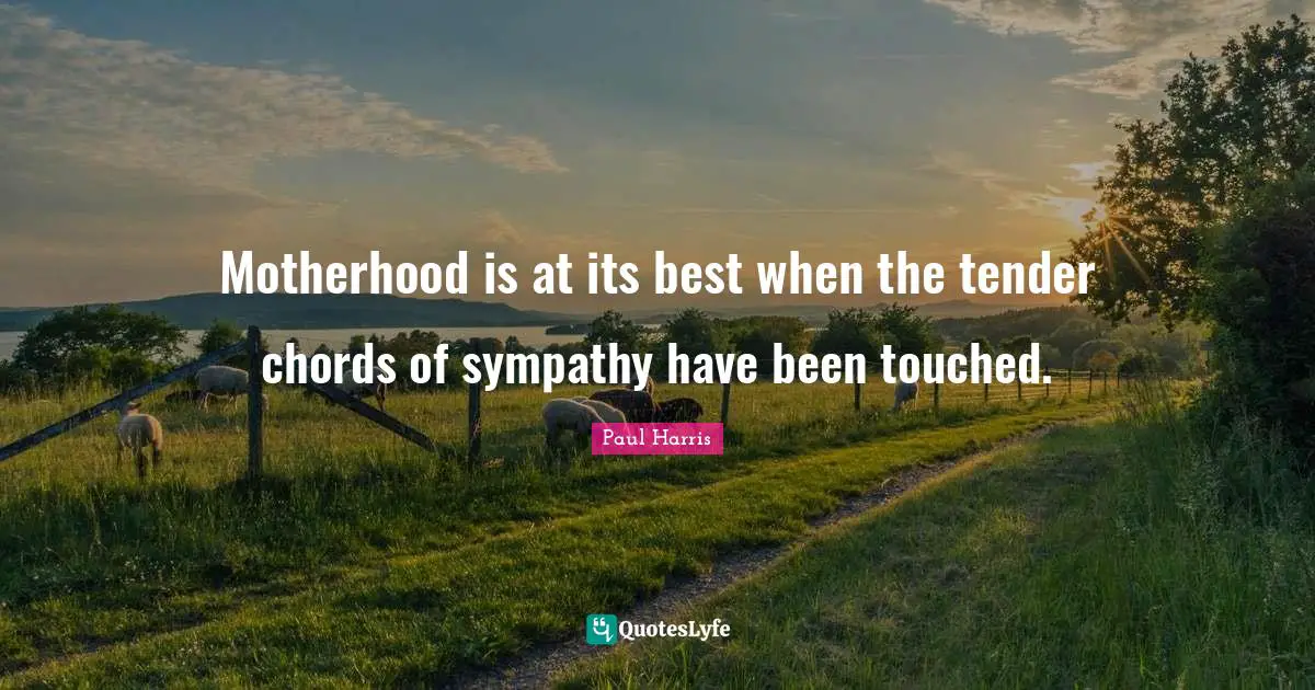 Motherhood is at its best when the tender chords of sympathy have been touched.