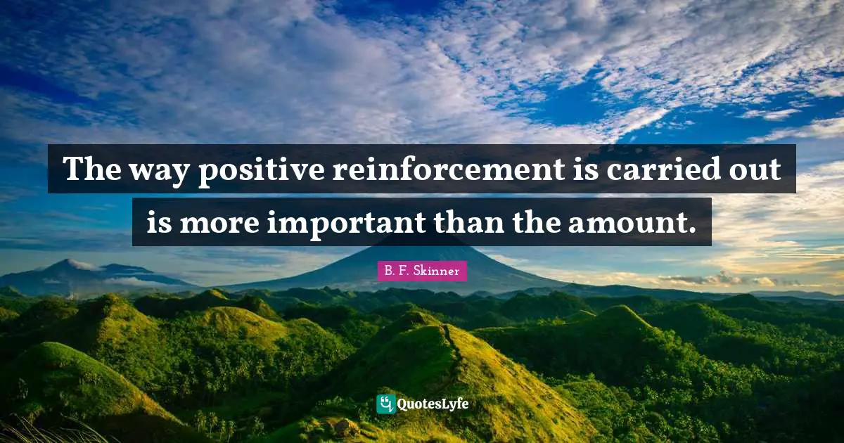 The way positive reinforcement is carried out is more important than the amount.