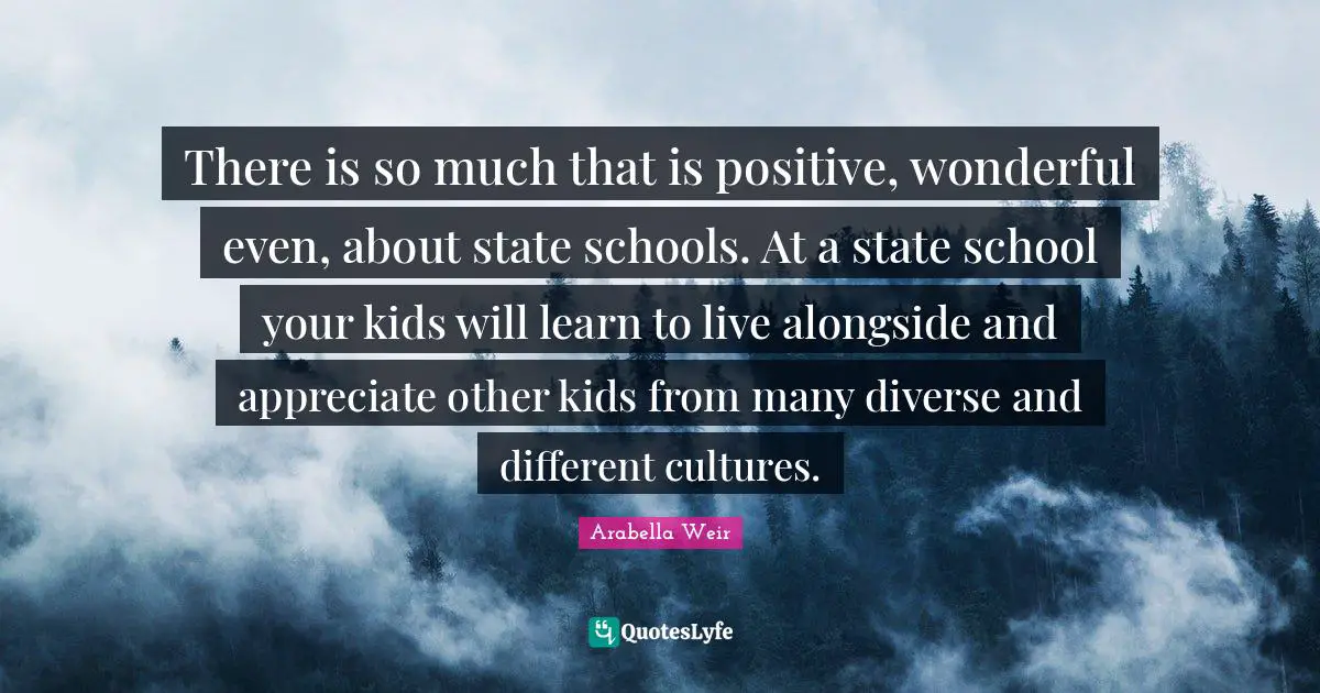 There is so much that is positive, wonderful even, about state schools. At a state school your kids will learn to live alongside and appreciate other kids from many diverse and different cultures.