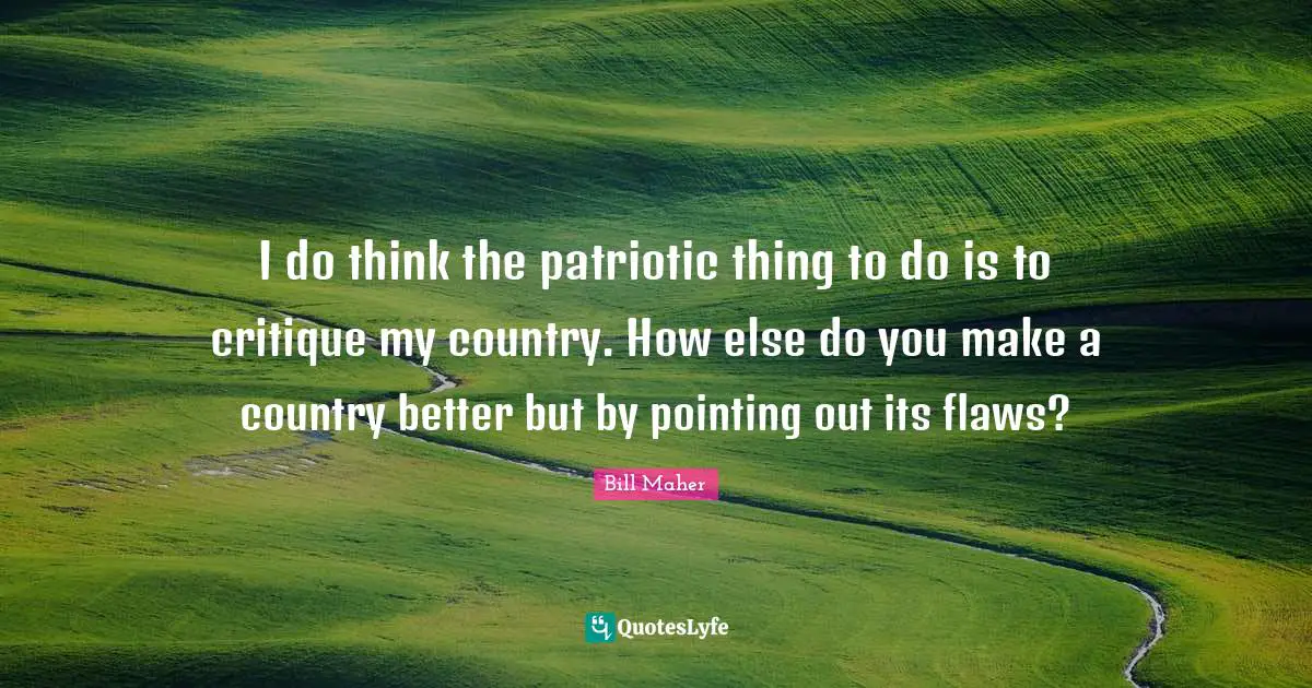 I do think the patriotic thing to do is to critique my country. How else do you make a country better but by pointing out its flaws?