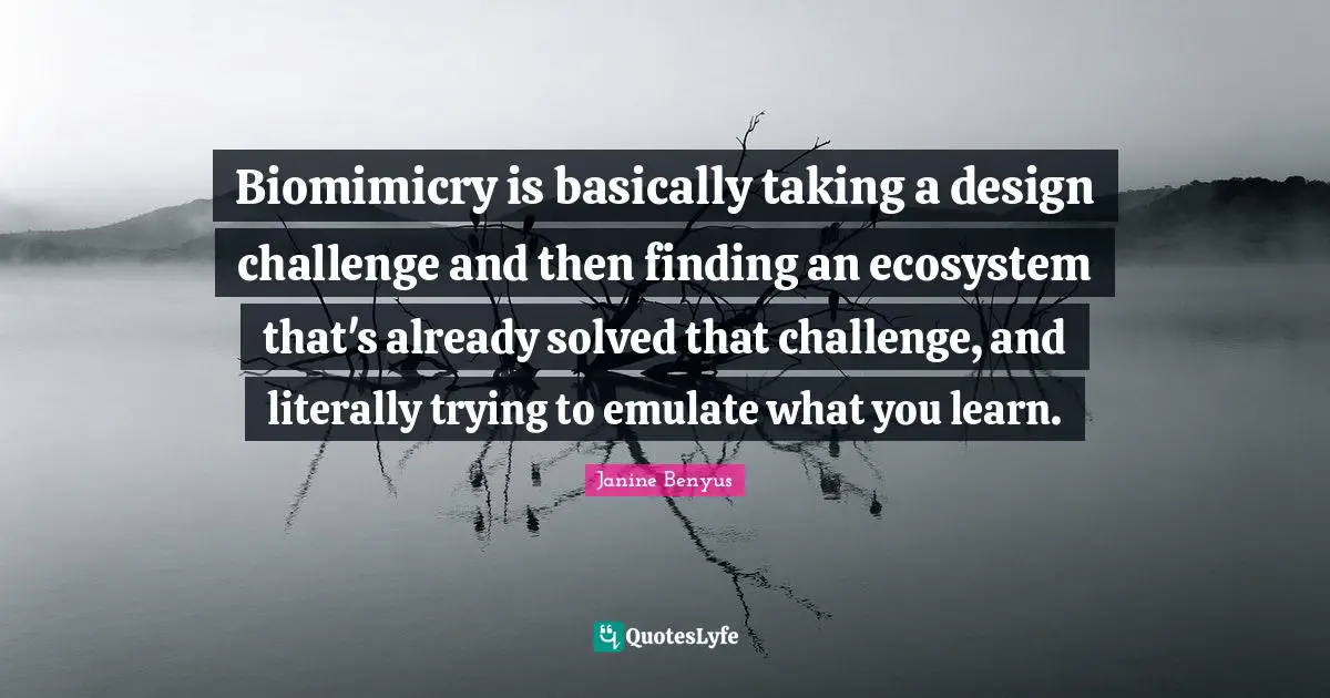 Biomimicry is basically taking a design challenge and then finding an ecosystem that's already solved that challenge, and literally trying to emulate what you learn.