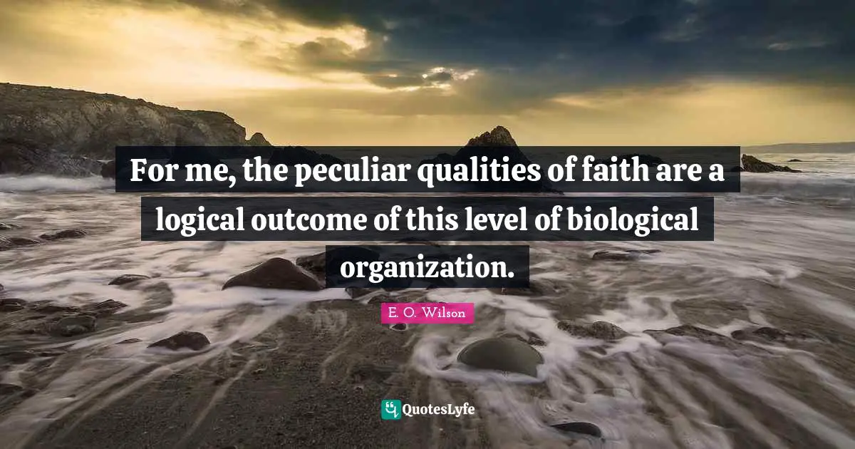 For me, the peculiar qualities of faith are a logical outcome of this level of biological organization.