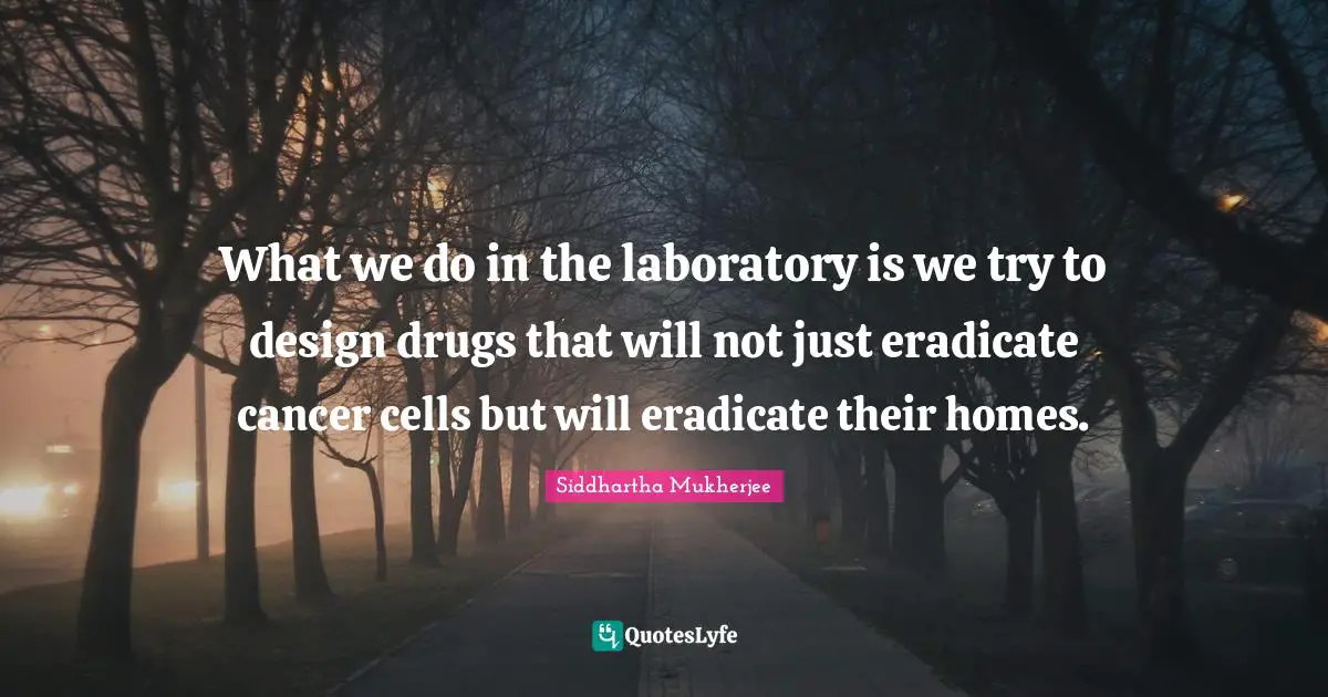 What we do in the laboratory is we try to design drugs that will not just eradicate cancer cells but will eradicate their homes.