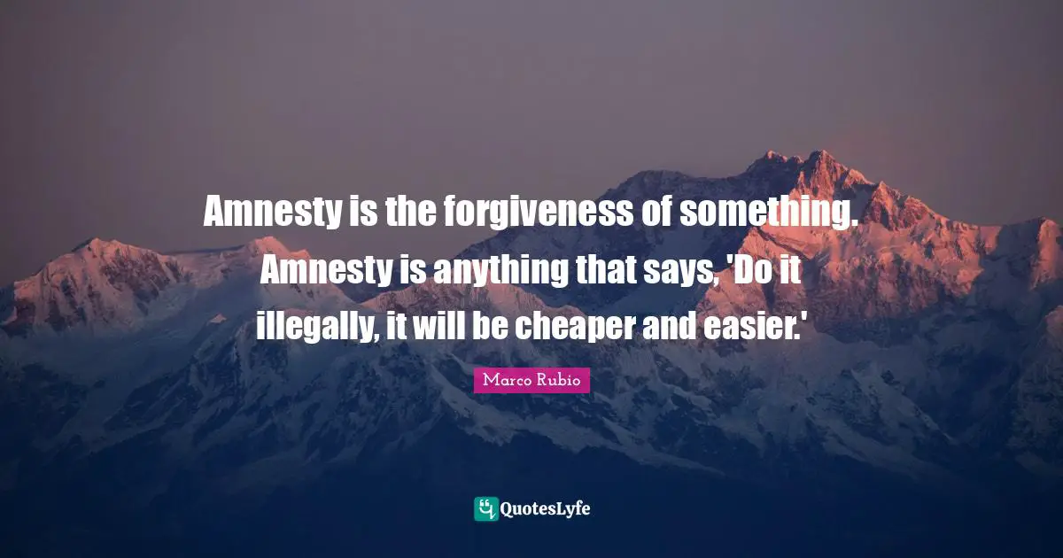 Amnesty is the forgiveness of something. Amnesty is anything that says, 'Do it illegally, it will be cheaper and easier.'