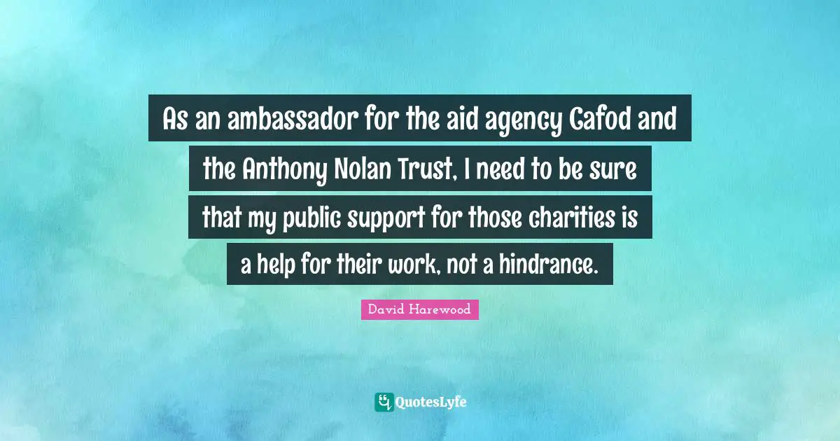 As an ambassador for the aid agency Cafod and the Anthony Nolan Trust, I need to be sure that my public support for those charities is a help for their work, not a hindrance.