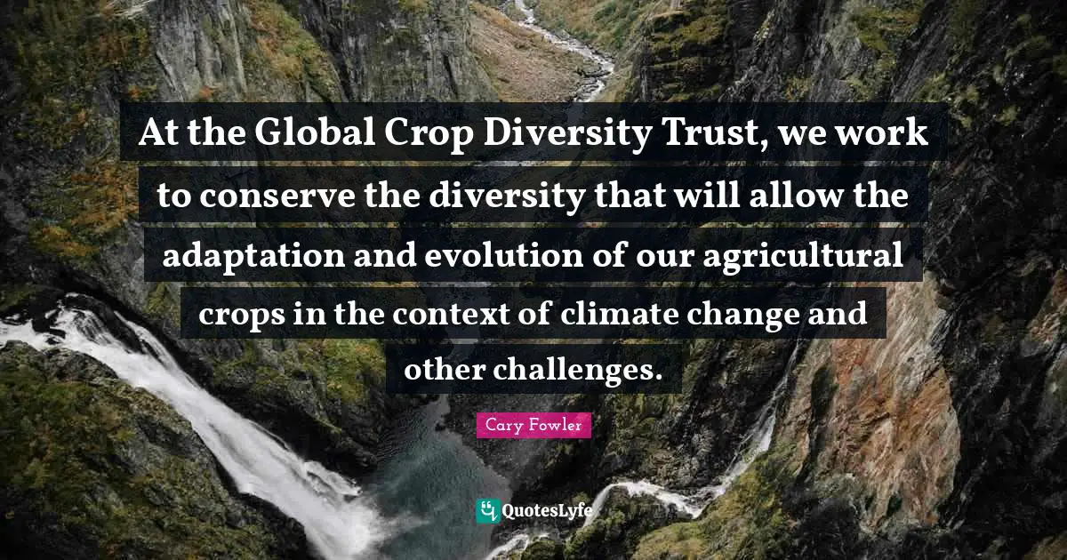 Cary Fowler Quotes: "At the Global Crop Diversity Trust, we work to conserve the diversity that will allow the adaptation and evolution of our agricultural crops in the context of climate change and other challenges."