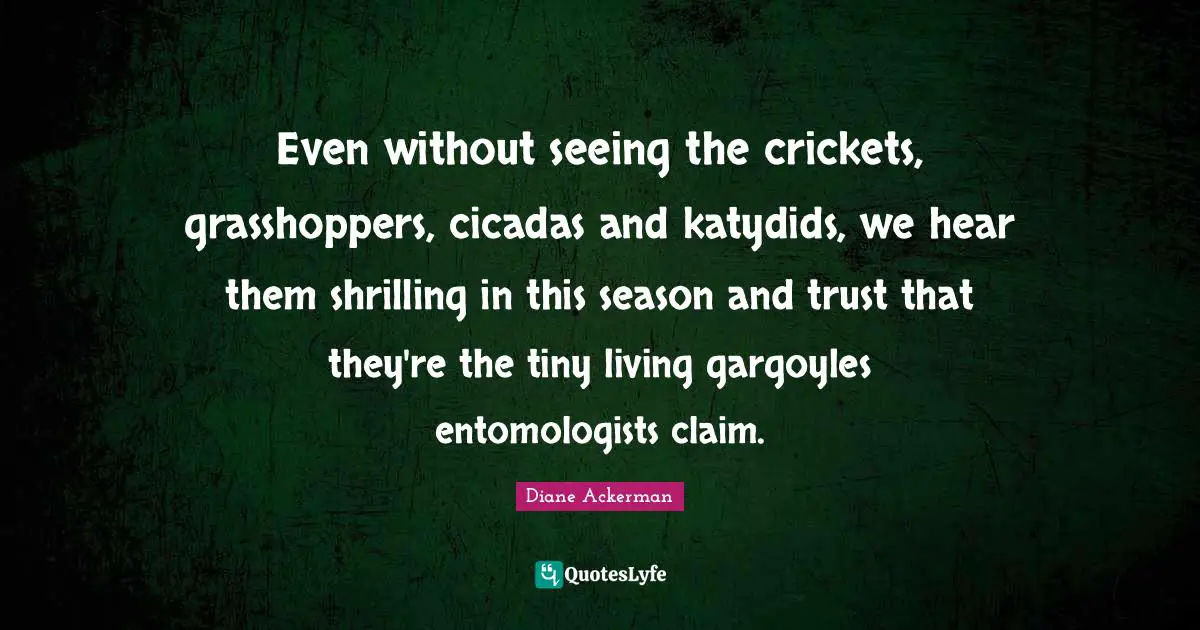 Even without seeing the crickets, grasshoppers, cicadas and katydids, we hear them shrilling in this season and trust that they're the tiny living gargoyles entomologists claim.