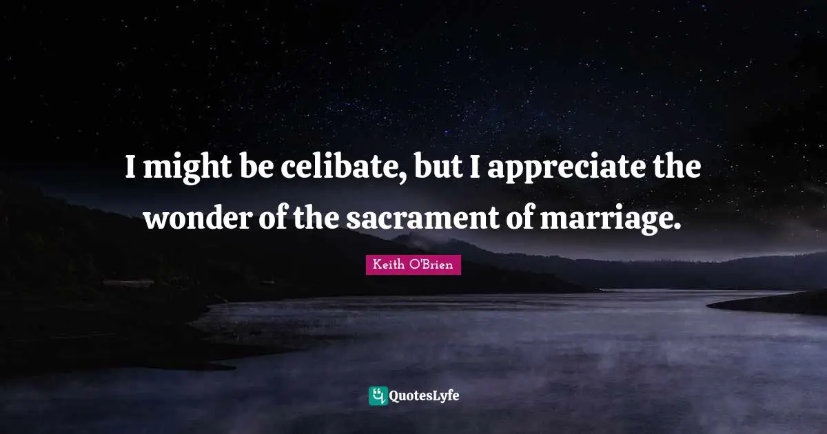 I might be celibate, but I appreciate the wonder of the sacrament of marriage.