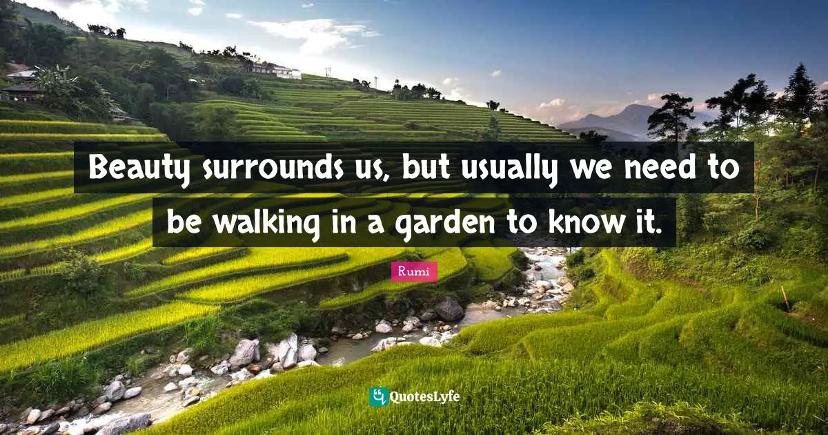 Beauty surrounds us, but usually we need to be walking in a garden to know it.