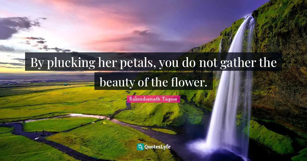 By plucking her petals, you do not gather the beauty of the flower.