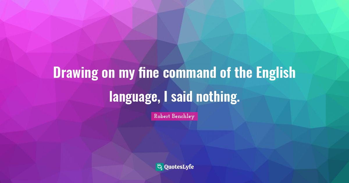 Drawing on my fine command of the English language, I said nothing.