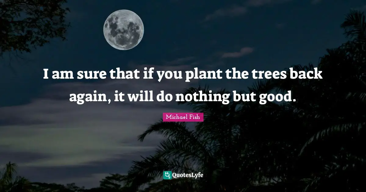 I am sure that if you plant the trees back again, it will do nothing but good.
