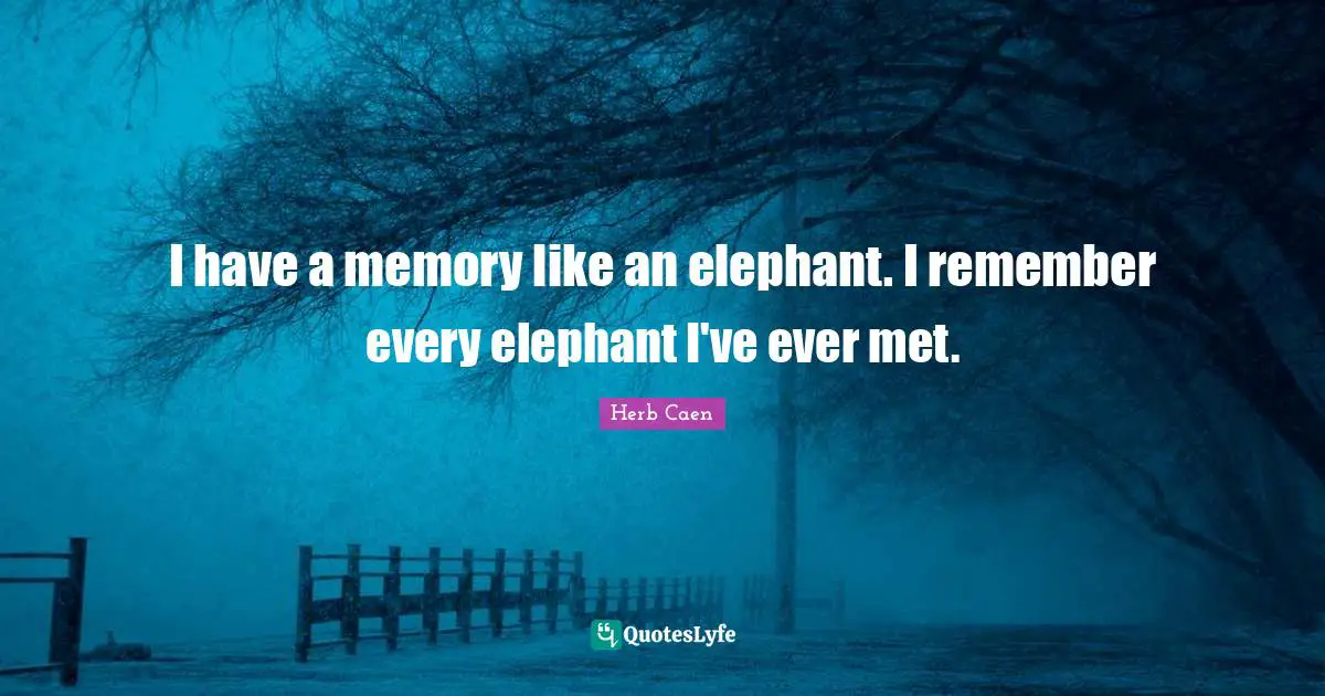 Herb Caen Quotes: "I have a memory like an elephant. I remember every elephant I've ever met."