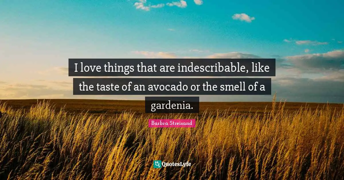 Barbra Streisand Quotes: "I love things that are indescribable, like the taste of an avocado or the smell of a gardenia."
