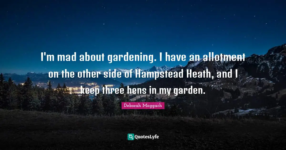 I'm mad about gardening. I have an allotment on the other side of Hampstead Heath, and I keep three hens in my garden.