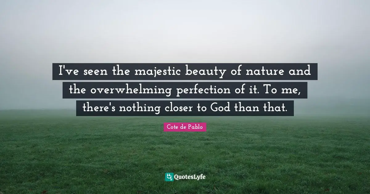 I've seen the majestic beauty of nature and the overwhelming perfection of it. To me, there's nothing closer to God than that.
