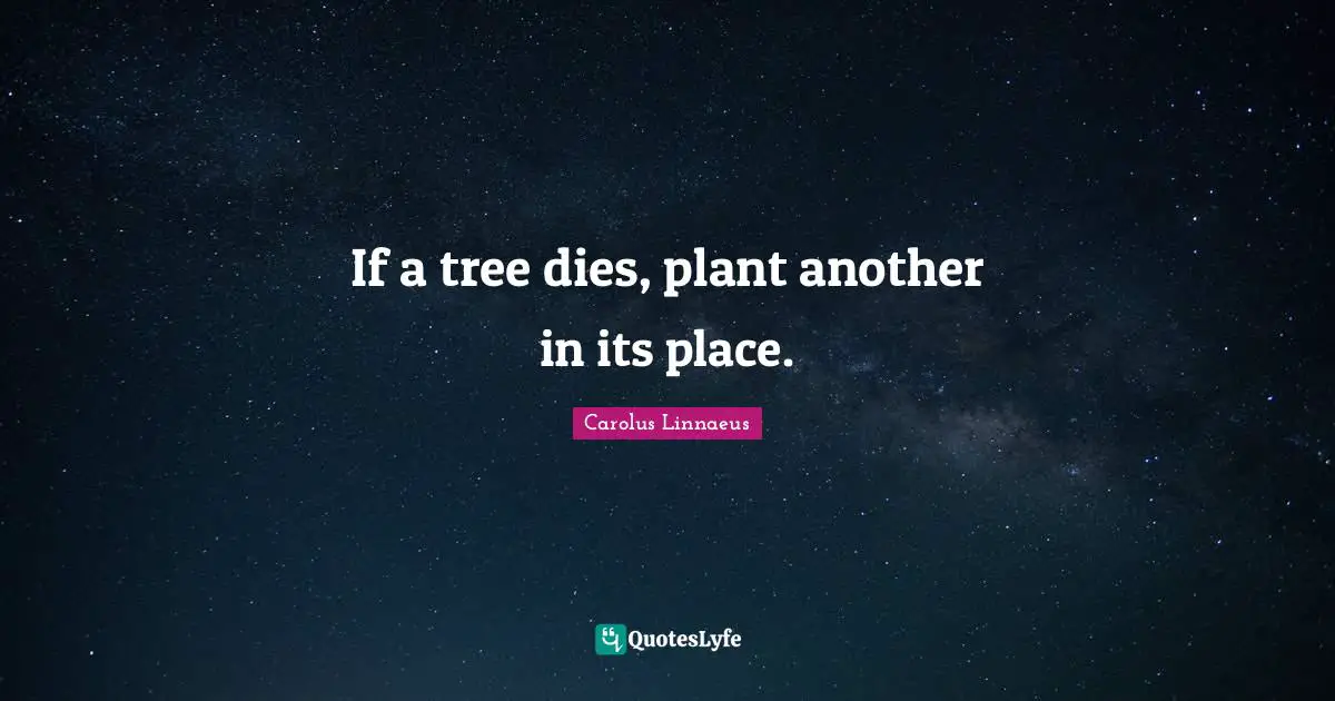 Plant Quotes: "If a tree dies, plant another in its place."