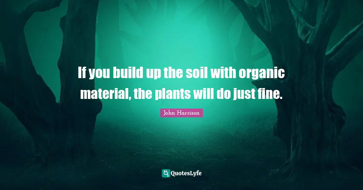 If you build up the soil with organic material, the plants will do just fine.