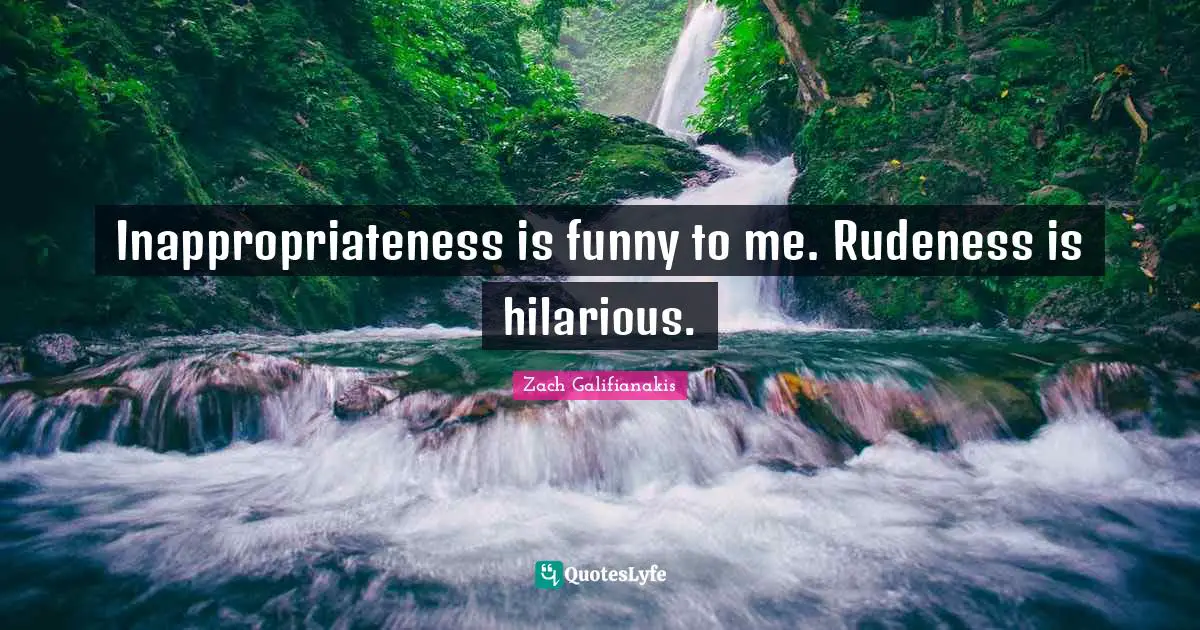 Inappropriateness is funny to me. Rudeness is hilarious.