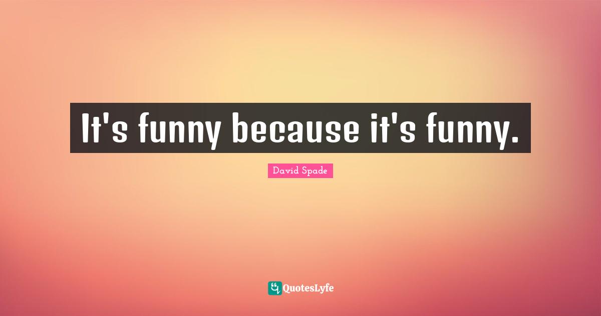 David Spade Quotes: "It's funny because it's funny."