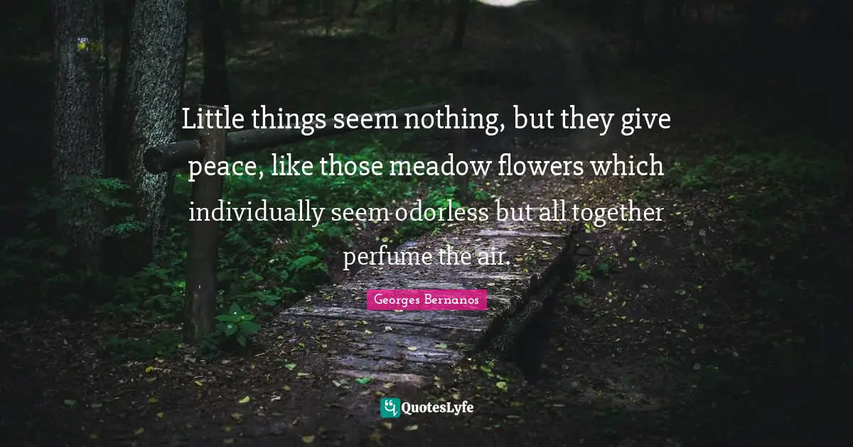 Flowers Quotes: "Little things seem nothing, but they give peace, like those meadow flowers which individually seem odorless but all together perfume the air."